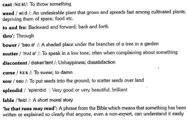 Flower Poem Questions and Answers & Summary by Tennyson 1