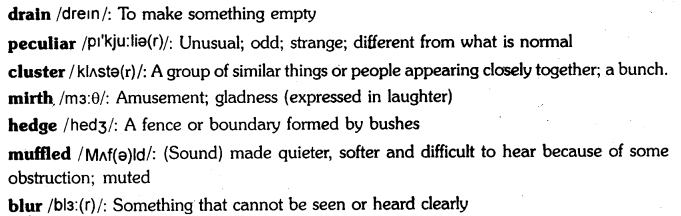 Punishment in Kindergarten Poem Questions and Answers & Summary by Kamala Das