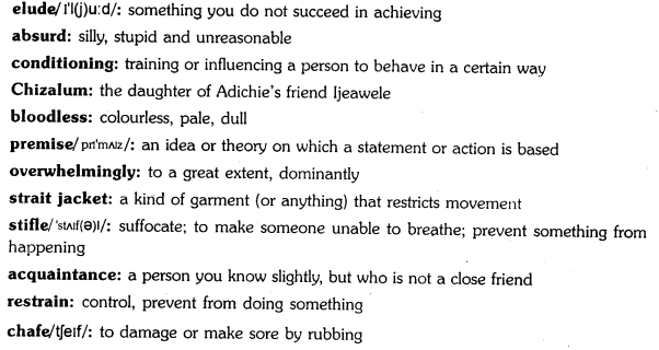 Third Suggestion Questions and Answers & Summary by Chimamanda Ngozi Adichie