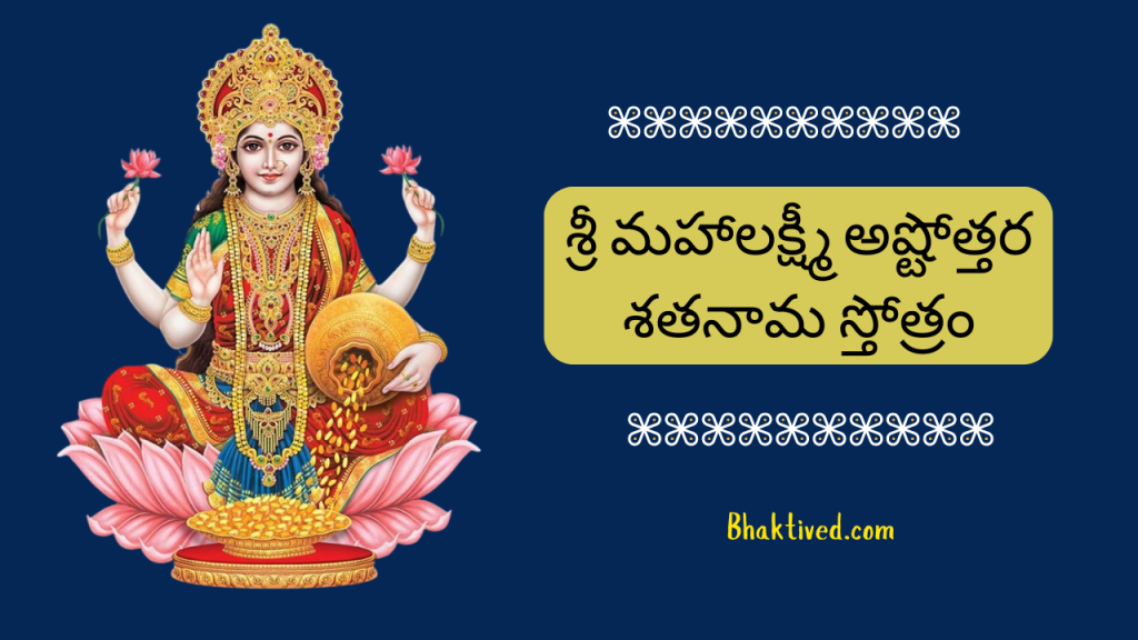 Lakshmi visual data 3